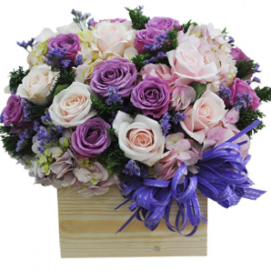 HỘP CHỮ NHẬT TRƠN