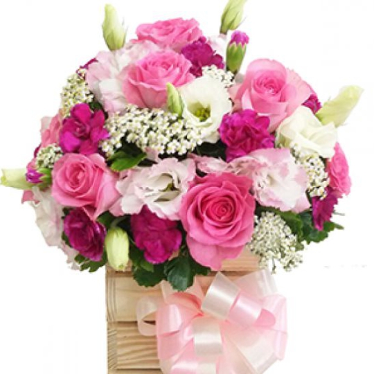 HỘP VUÔNG 4 NẤC