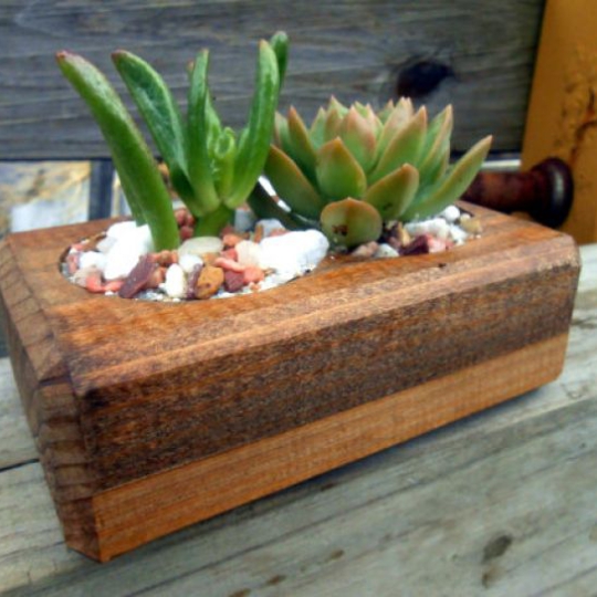 CHẬU TC GỖ GHÉP