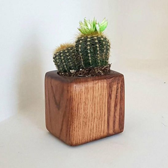 CHẬU TC GỖ GHÉP