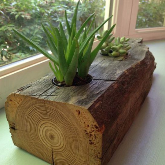 CHẬU GỖ TC NGUYÊN 2