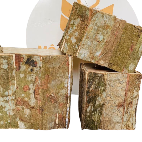 Hộp Chữ Nhật Vỏ Cây