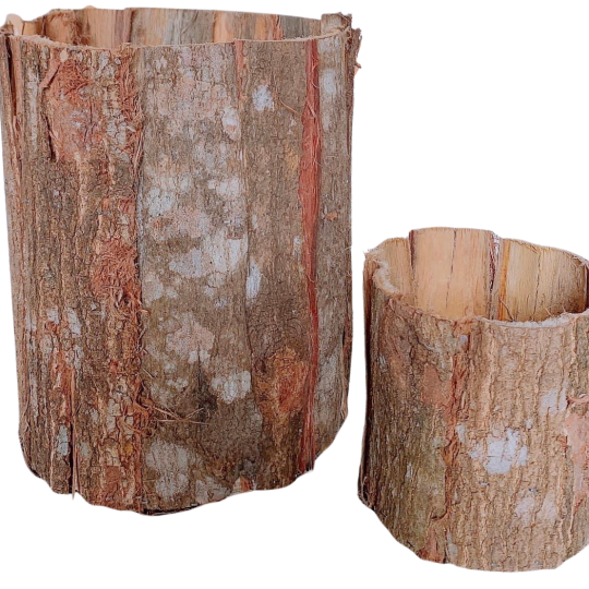 Hộp Tròn Vỏ Cây