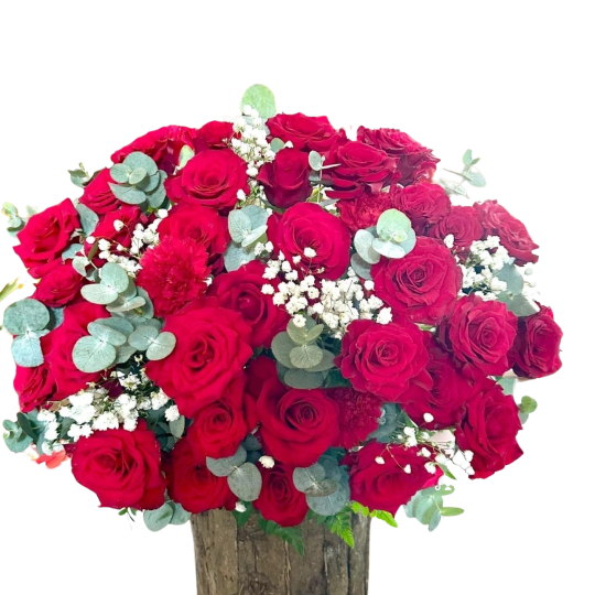 Hộp Trụ Vỏ Cây