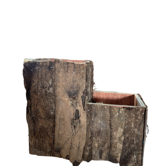 Hộp Vỏ Cây Đôi