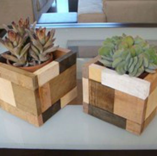 CHẬU TIỂU CẢNH VUÔNG