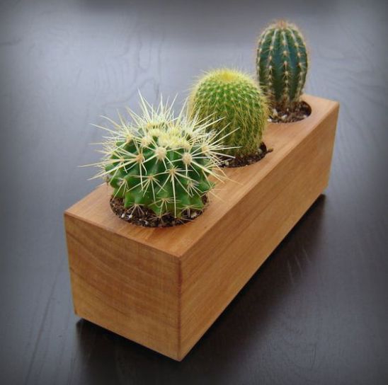 CHẬU GỖ TC NGUYÊN