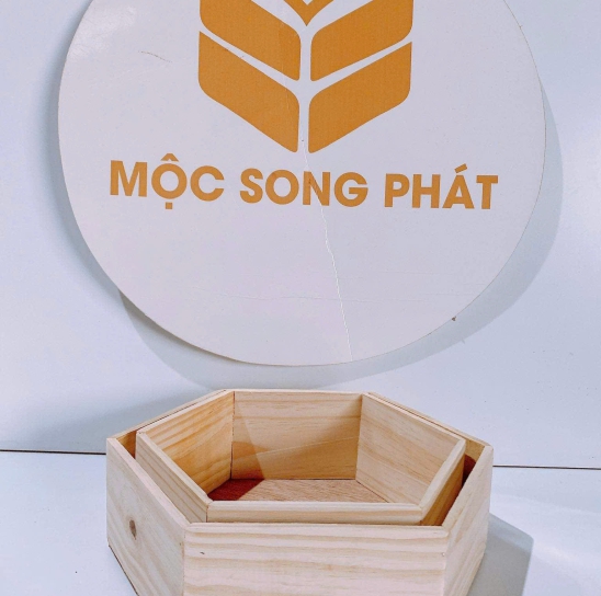 HỘP GỖ MSP 10
