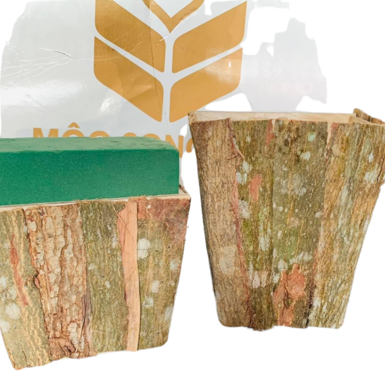 Hộp Thang Vỏ Cây